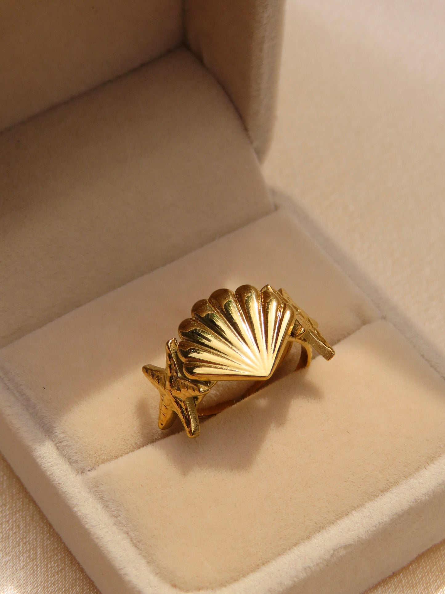 Grote schelp Ring