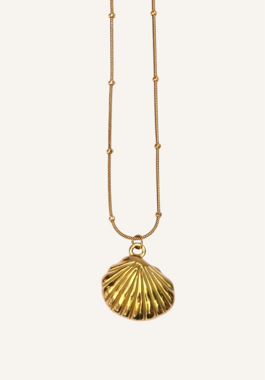Summer Shell Necklace